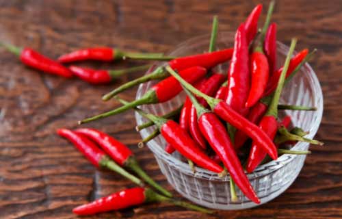 风湿性关节炎患者预后可以吃辣椒吗？